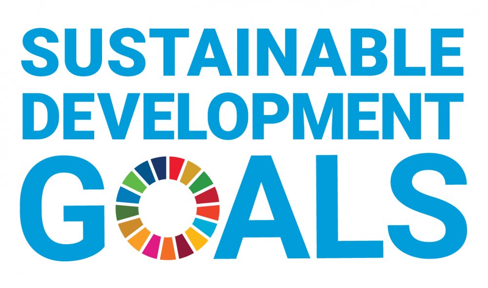 Logo sustainable development goals