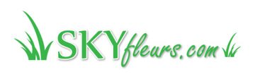 Logo boutique Skyfleurs