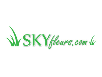 Logo boutique Skyfleurs