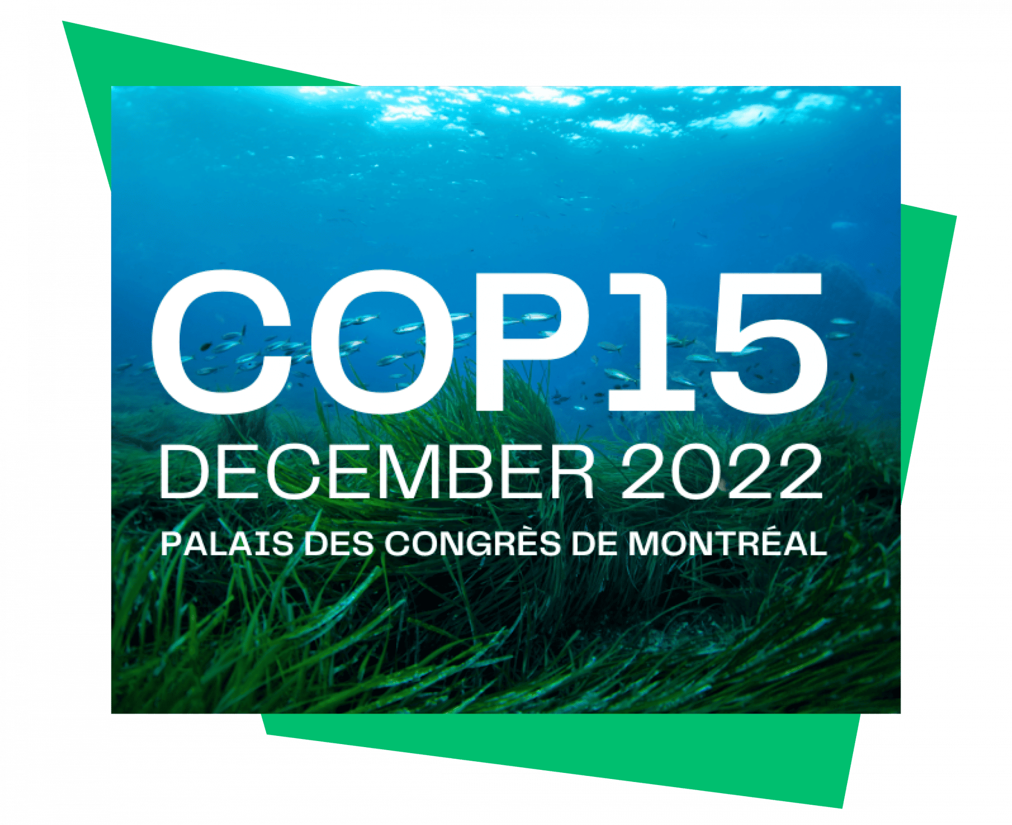 15th Conference of the Parties Montréal the world Montréal