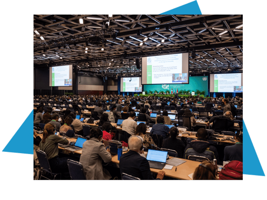 Session plénière lors de la COP15 au Palais des congrès de Montréal.