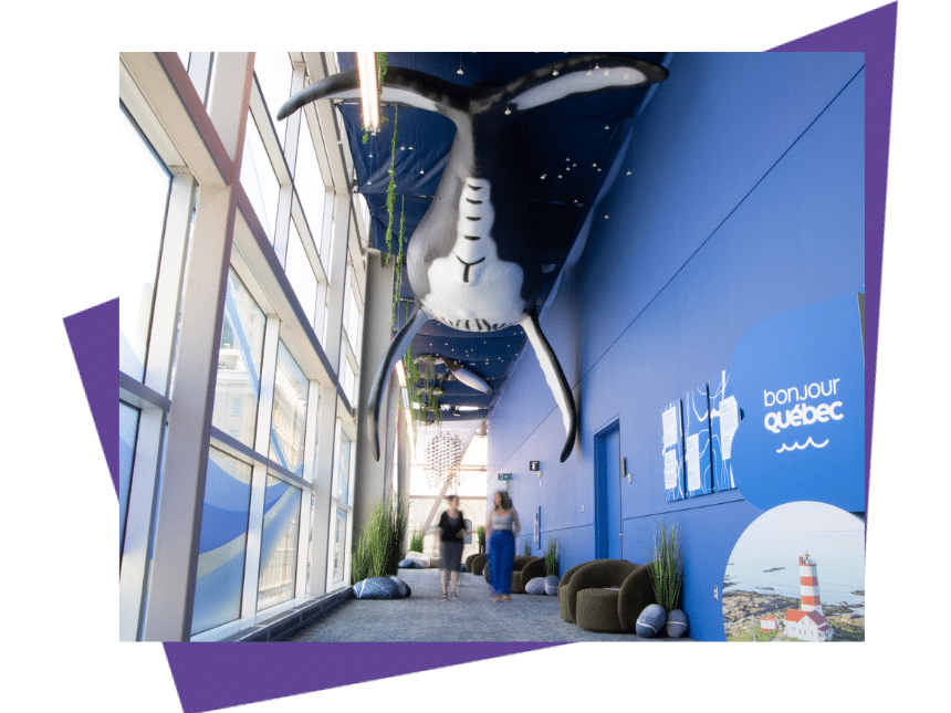 La maquette d'une baleine à bosse mesurant près de 10 mètres est suspendue dans un couloir du Palais des congrès.