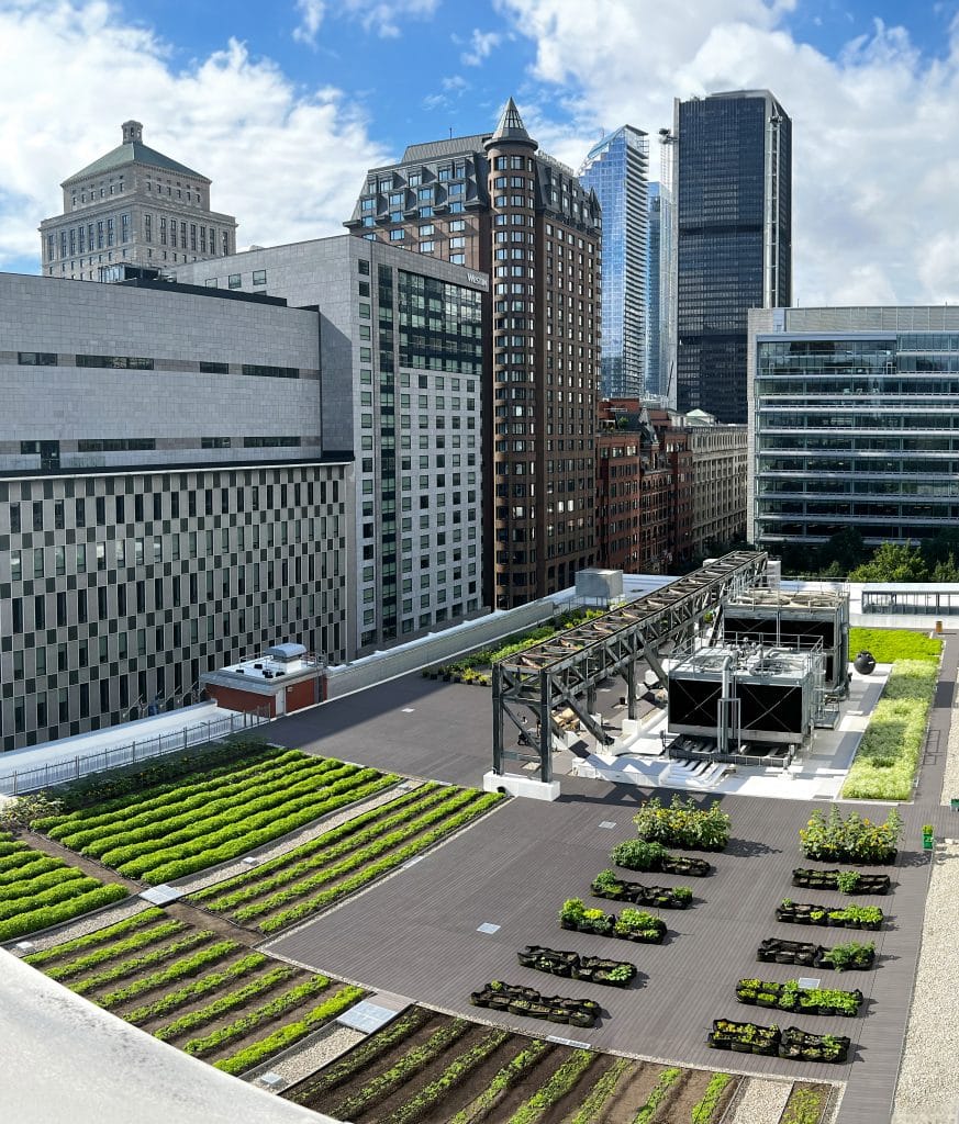photo du toit vert sur le Palais des congrès de Montréal