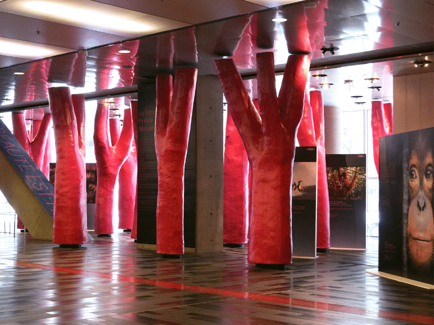 L'exposition La Beauté Sauvera le Monde située au cœur de l’installation Nature légère, de l’espace public du Palais