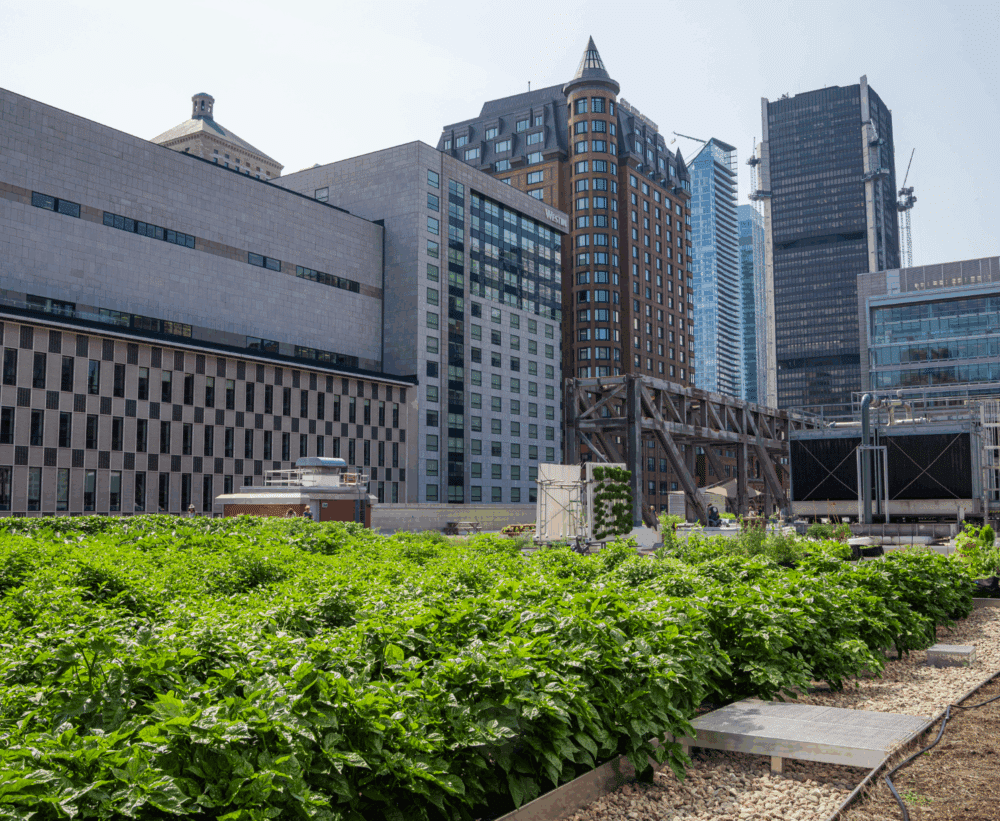 Photo du toit vert sur le Palais des congrès de Montréal