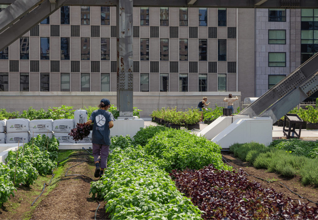 The Palais des congrès de Montréal's green roof