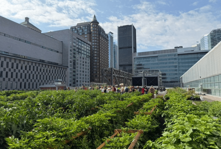 Toit vert du Palais des congrès de Montréal